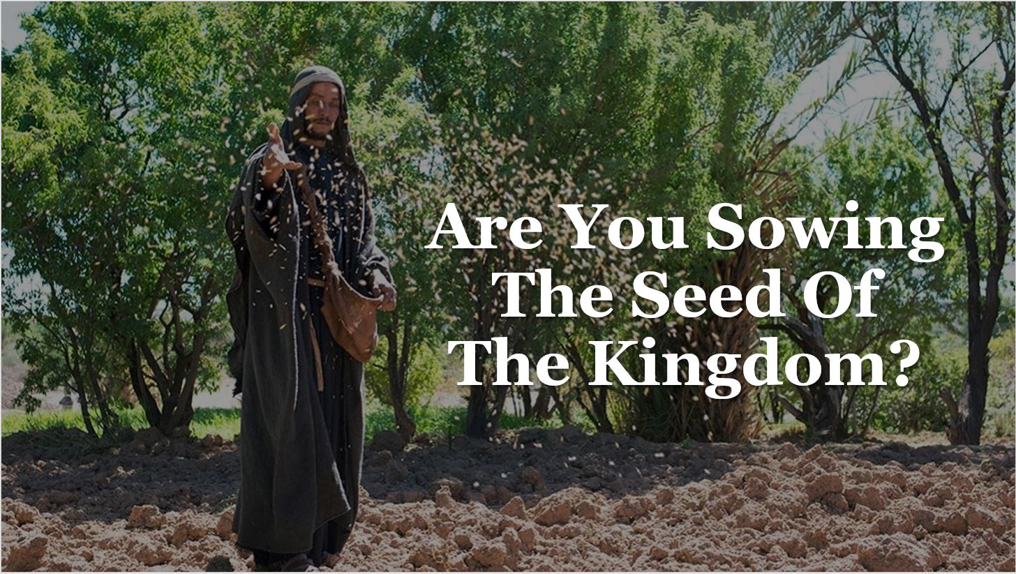 Are You Sowing The Seed Of The Kingdom?