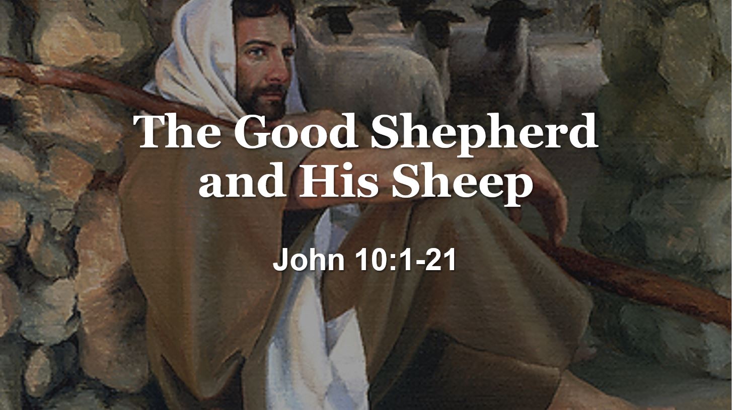 The Good Shepherd and His Sheep