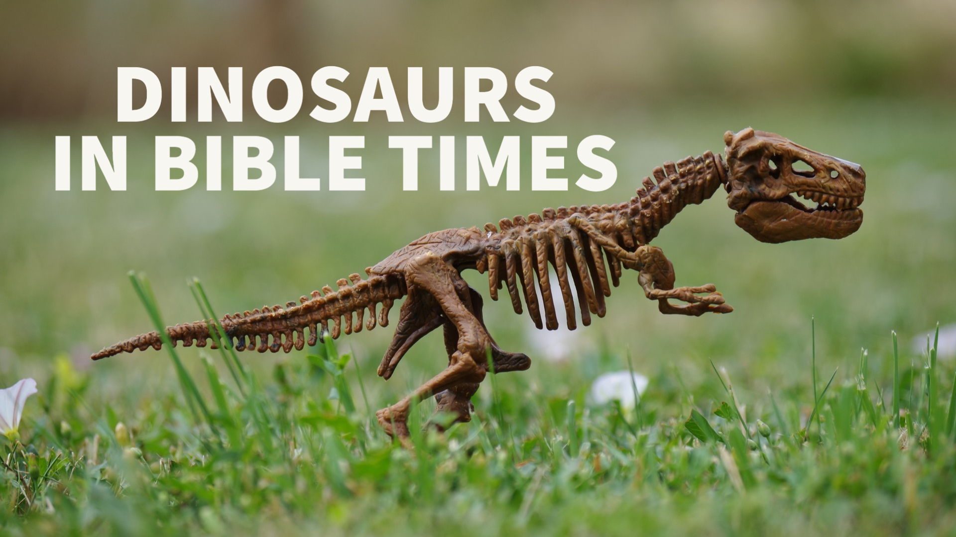 How Do Dinosaurs Fit Into The Bible Timeline?