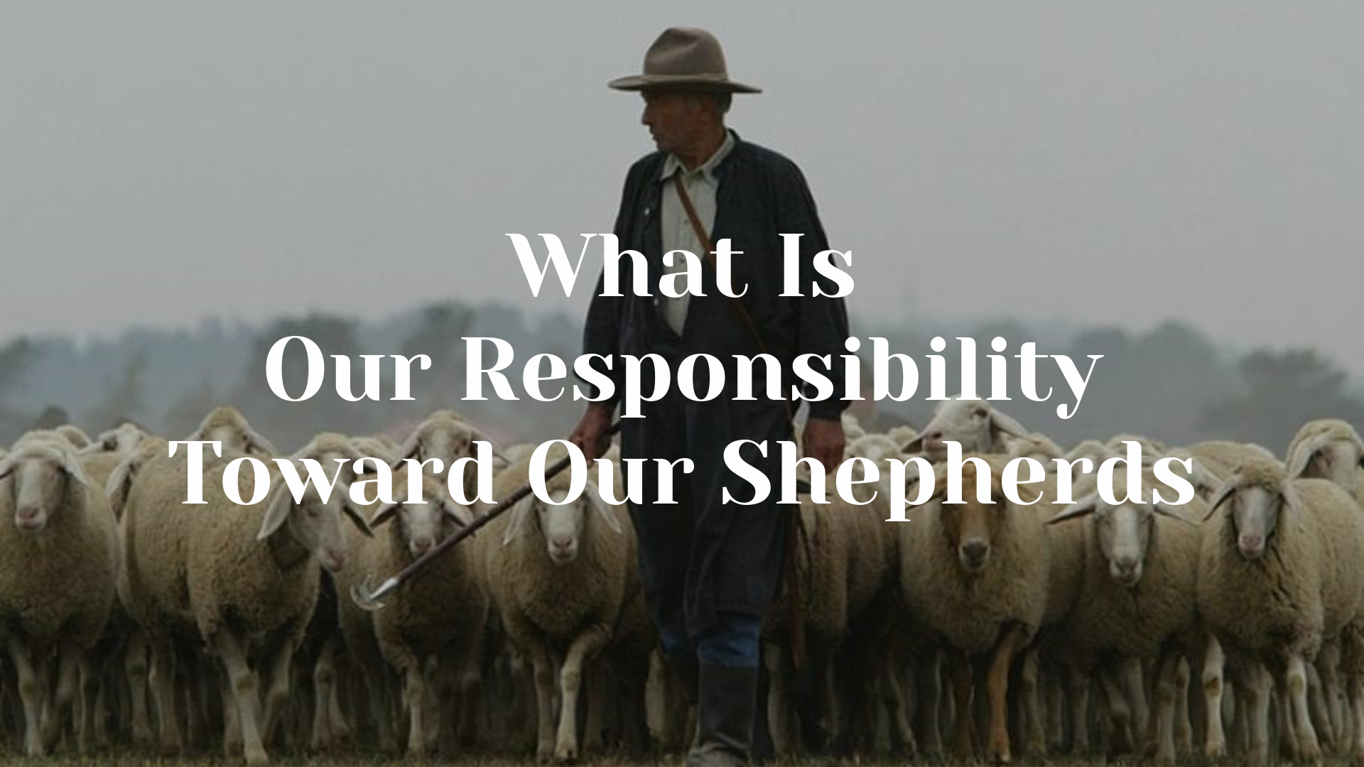 What Is Our Responsibility Toward Our Shepherds?