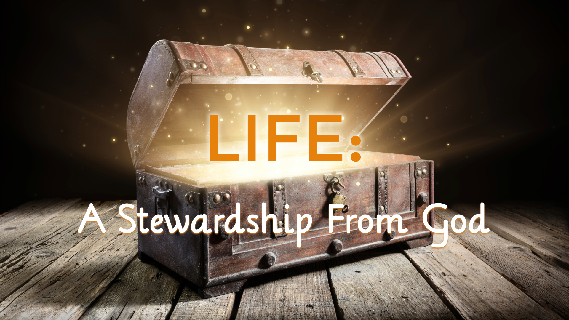 Life: A Stewardship From God