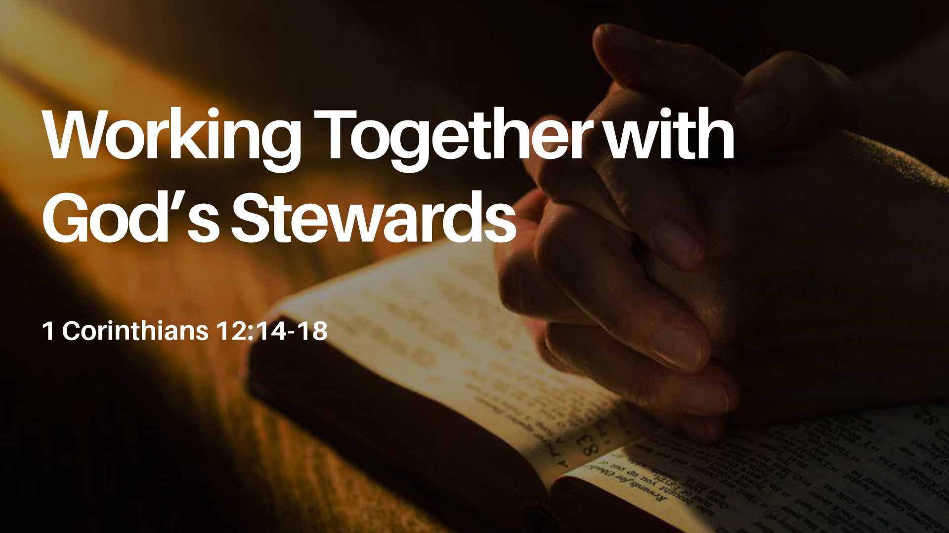 Working Together With God’s Stewards