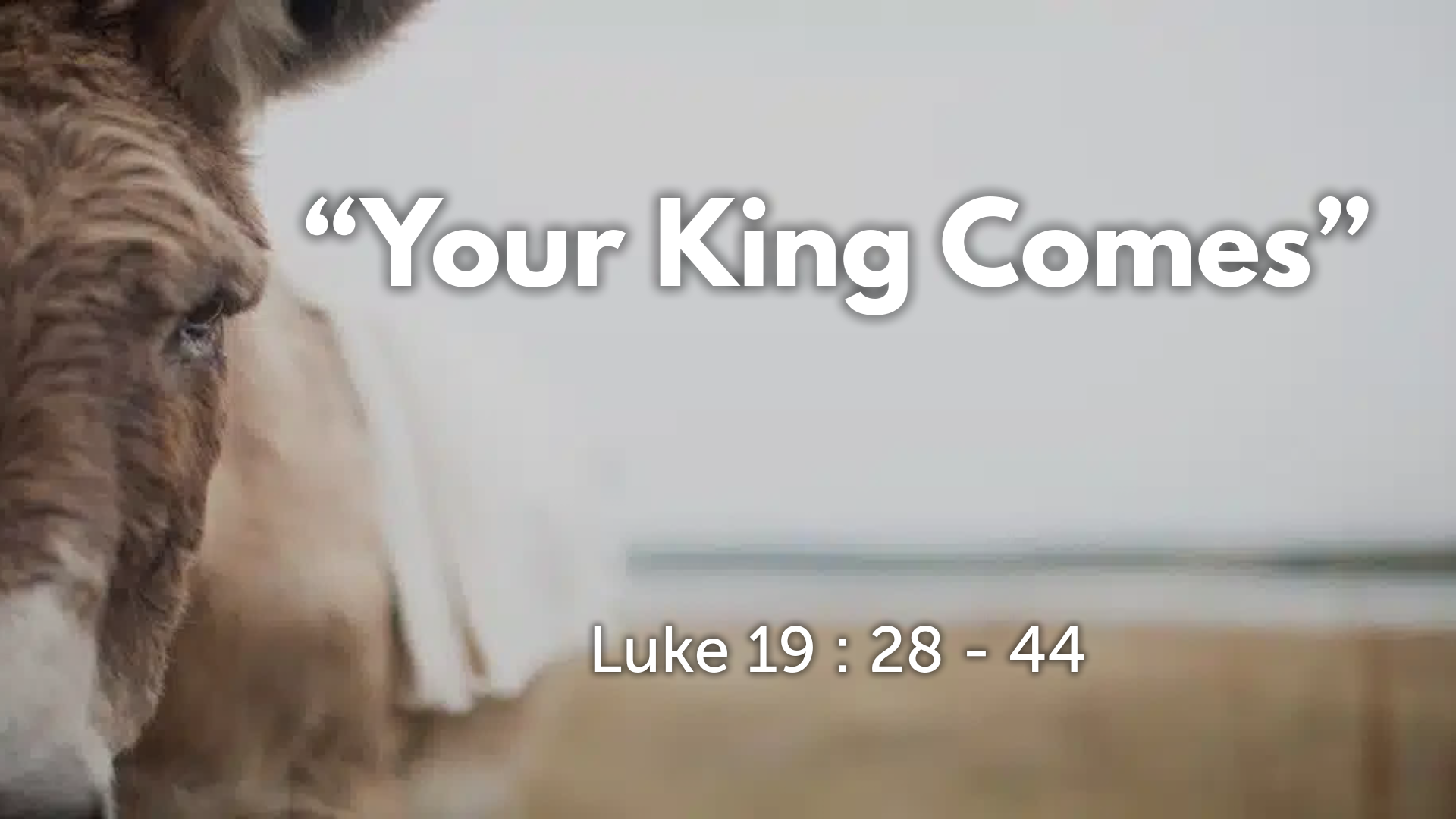 “Your King Comes”