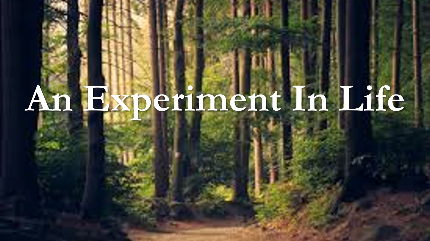 creating life experiment