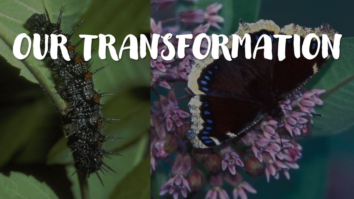 Living Lives of Transformation