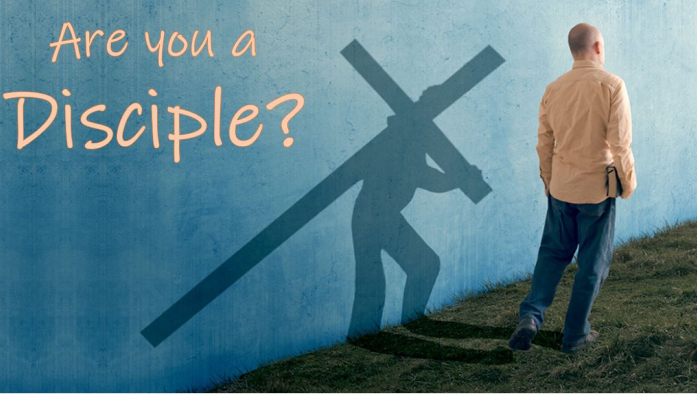 Are You A Disciple?