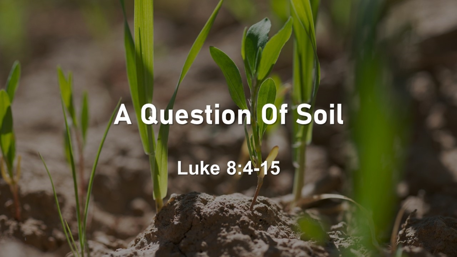 A Question of Soil