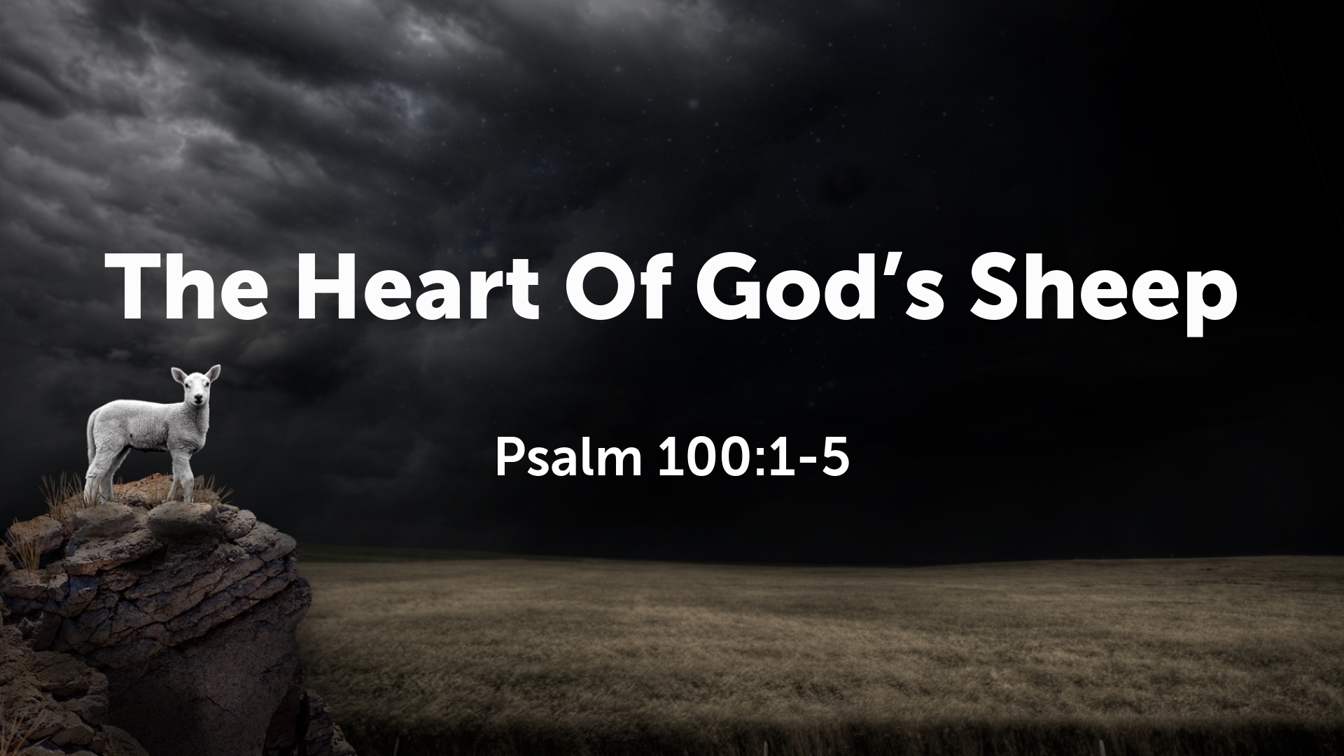 The Heart of God’s Sheep