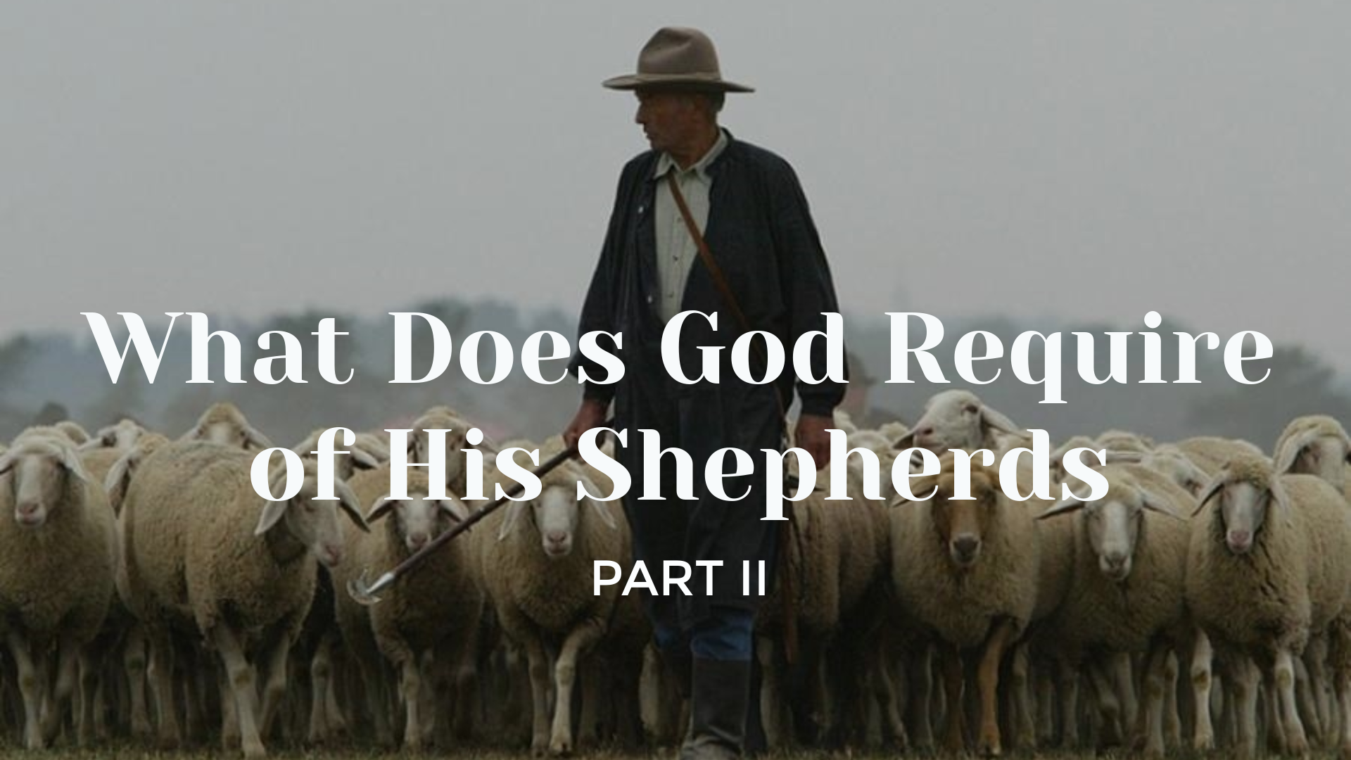 What Does God Require of His Shepherds (II)