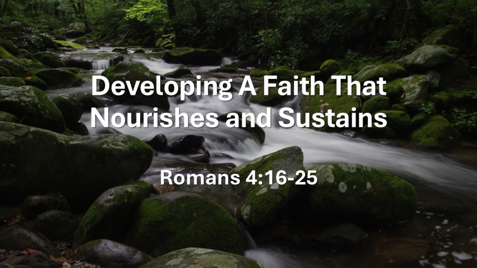 Developing A Faith That Nourishes and Sustains